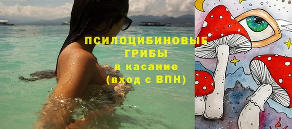 мяу мяу мука Елизово