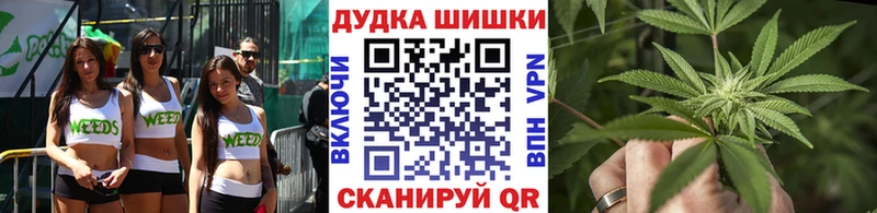 Бошки марихуана Amnesia это Telegram Заозёрск цена